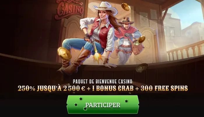Wildsino Casino banner